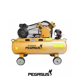 Máy Nén Khí  -  PE TM-W-0.36/8-120L-4HP (220V) Pegasut PE 120L 06