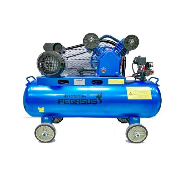 Máy Nén Khí PE TM-V-0.25/8-120L-3HP Pegasut PE 120L 02