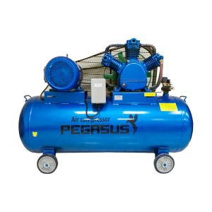 PE TM-V-0.25/12.5-120L-3HP (380V) Máy Nén Khí Pegasut PE 120L 05