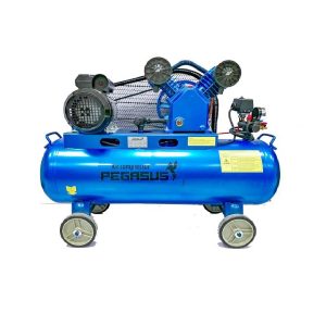 Máy Nén Khí PE TM-V-0.25/8-120L-3HP (Loại mới) Pegasut - PE 120L 16