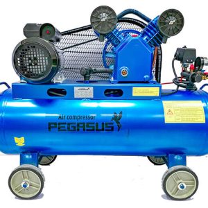 Máy Nén Khí PE TM-V-0.6/8-230L-5.5HP Pegasut PE 230L 07