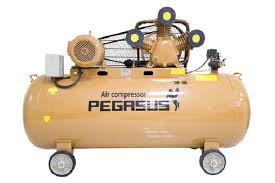 Máy Nén Khí PE TM-W-0.67/8-500L-7.5HP Pegasut PE 500L 02