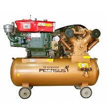 Máy Nén Khí PE TM-W-1.0/8-500L-10HP Đầu nổ D8 Pegasut PE 500L 11