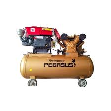 Máy Nén Khí PE TM-W-1.6/8-500L-15HP Đầu nổ D24 Pegasut PE 500L 13