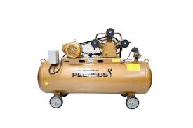 Máy Nén Khí PE TM-W-1.6/12.5-500L-15HP Đầu nổ D24 Pegasut PE 500L 14