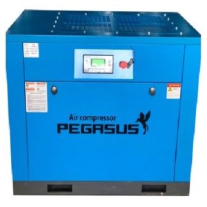 Máy Nén Khí Trục Vít Biến Tần (Tiết kiệm điện) Pegasut TMBT-20A