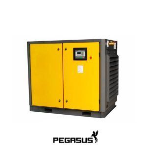 Máy Nén Khí Trục Vít Pegasut TMPM-100A